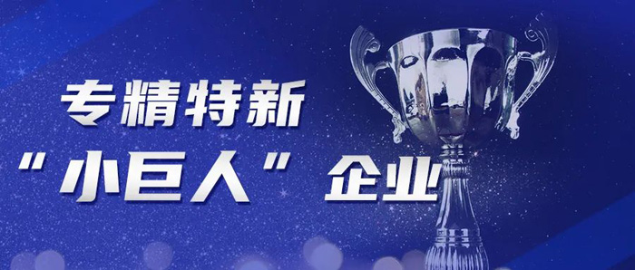喜訊!洲翔榮膺國家級專精特新“小巨人”企業(yè)